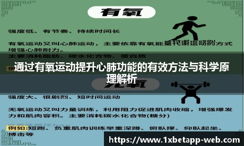 通过有氧运动提升心肺功能的有效方法与科学原理解析